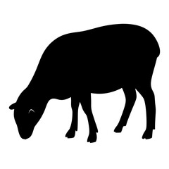 Black Silhouette of a Sheep Grazing, transparent . on in Vector Format