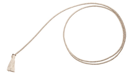 lasso rope isolated on white background PNG. GENERATIVE AI