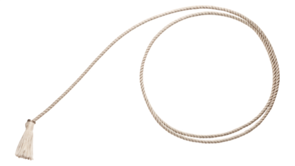 lasso rope isolated on white background PNG. GENERATIVE AI