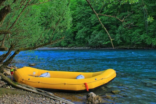 Kayak on the river