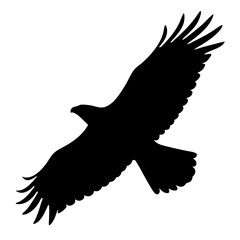 Silhouette of majestic eagle soaring through the sky with its powerful wings