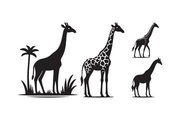 silhouette icon of a giraffe isolated on a white background