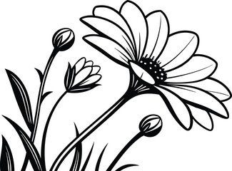 vector illustration of a camomile