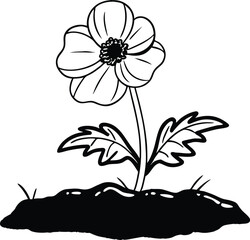 black and white flower vector