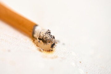 Close-up view of cigarette butt resting on white surface with visible ash. Soft lighting highlights details, creating focus on textures and contrasts. Image evokes thoughts on smoking and its remnants