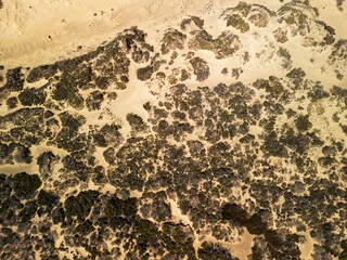 Fuerteventura Desert vegetation seen from above 