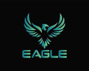 Professional logo design.