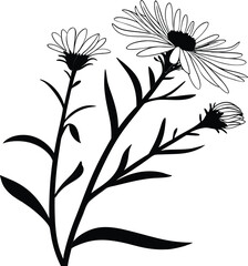 black and white flowers vector