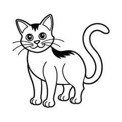  Halloween black and white cat