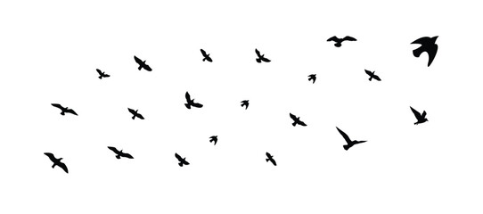 Flying Birds Silhouettes  Vector Illustration of Flock in Flight on White Background for Tattoo and Design Use
