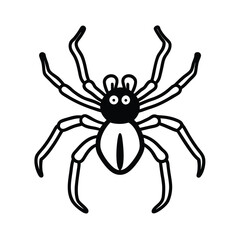 spider isolated on white background