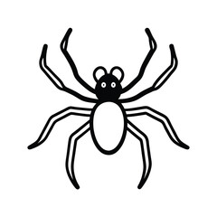 spider on a white background