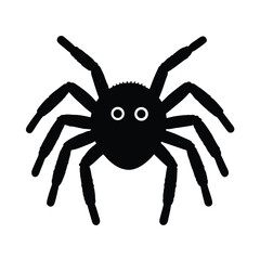 black spider isolated on white background