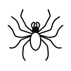 spider on a white background