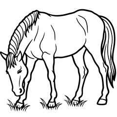 Fototapeta premium Majestic Horse&nbsp;Line Art