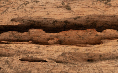 Fototapeta premium Close up of textured wood surface revealing intricate patterns and natural wear