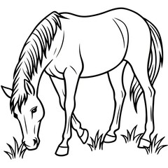 Fototapeta premium Majestic Horse&nbsp;Line Art