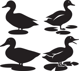 Silhouette Ducks on Water Lilies