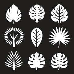 Modern Botanical Palm Leaf Silhouette Icon Set