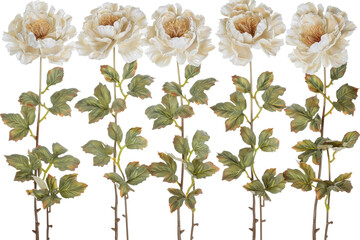 Elegant arrangement of delicate peonies with soft cream petals and green leaves, perfect for floral design and home decor inspiration