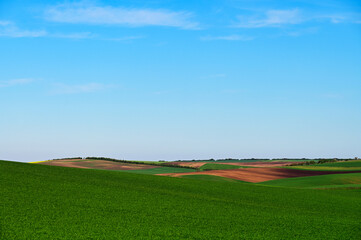 Plowed and green wheat fields landscape,Moravia,Chech Republic