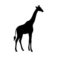 giraffe icon, giraffe silhouette vector illustration-Editable Vector Art of giraffe,giraffe vector