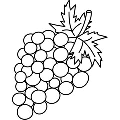 Lovely outline bunch of purple grape berries on branch with leaves. Cute hand drawn vine as symbol of ancient Greece. Trendy sketch doodle of fruit for cards, branding packaging, restaurant menu.