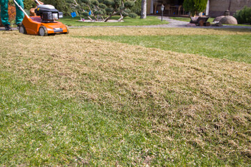 Scarification and aeration of the lawn with a scarifier