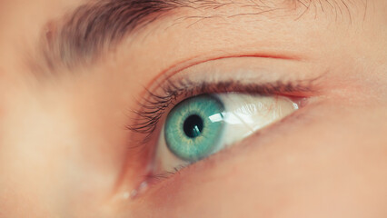 Obraz premium Macro Human Eye Close-Up