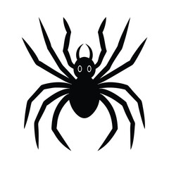 Halloween spider on a white background