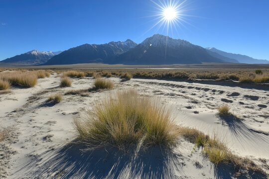 Sunny desert landscape with distant snow-capped mountains