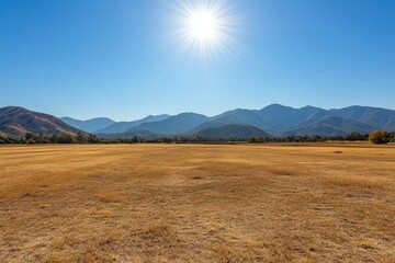 Sunny, dry field with distant mountains.  Vast, golden plain stretching to a hazy mountain range under a clear blue sky.  Bright sun highlights the landscape