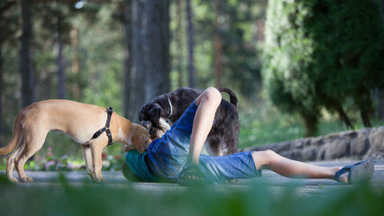 Kids and dogs having fun in nature