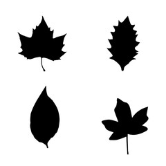 set of leaves
