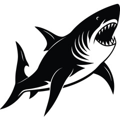 Aggressive Shark Black and White Vector Ocean Predator Art