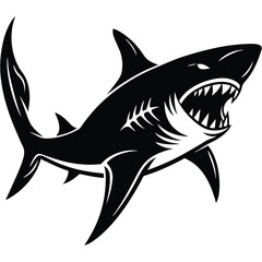 Obraz premium Aggressive Shark Black and White Vector Ocean Predator Art