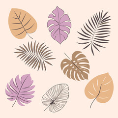 Fototapeta premium 8 tropical leaf silhouettes with a mix of different shapes and sizes, including palm, fern, and rubber tree leaves 