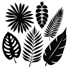 Obraz premium 8 tropical leaf silhouettes with a mix of different shapes and sizes, including palm, fern, and rubber tree leaves 