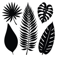 Obraz premium 8 tropical leaf silhouettes with a mix of different shapes and sizes, including palm, fern, and rubber tree leaves 