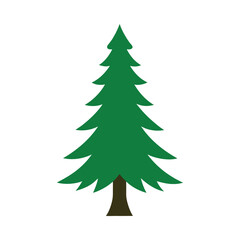 Green spruce tree graphic evergreen forest element pine tree isolated simple design