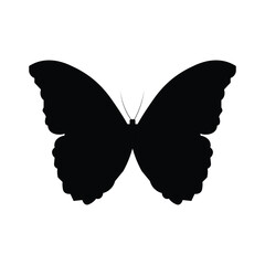 Butterfly Silhouette