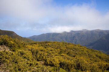 Scenic view of lush green mountains and clouds in Madeira during a sunny day