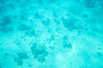 Turquoise sea bottom with scattered corals scattered across sandy seafloor. Ambient light filters through murky water, creating serene oceanic atmosphere. Minimal marine life