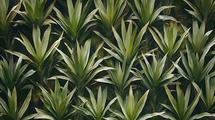 Fototapeta premium Lush Green Tropical Plant Wall Texture Background