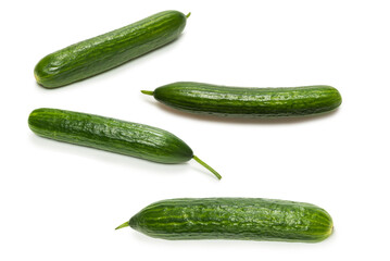Cucumber isolated on white background.