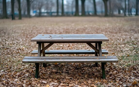 Empty Wooden Picnic Table in Autumn Park