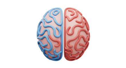 Isolated Two Halves of Brain in Blue and Pink for Left and Right Hemisphere