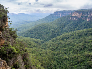 Fototapeta premium Amazing views in Blue mountains, Australia