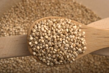 alimento, semilla, alforfón, ingrediente, granito, café, salubre, blanco, aislada, ajonjolí, crudo, mole, insaturado, organica, semilla, bol, cereal, lens culinaris, vegetariana, close-up, apiladas, n