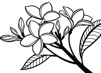 vector illustration of a flower